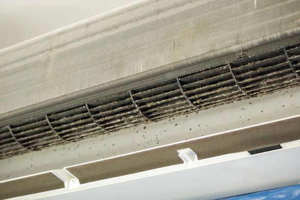 Best Ventilation Cleaning Services  in Wyndham, VA